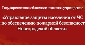 Благотворительная помощь для реализации ГОКУ «Управлением ЗНЧС И ПБ Новгородской области» программы курсового обучения граждан по основам безопасного  поведения при чрезвычайных ситуациях , в том числе при террористических актах  и навыкам оказания первой помощи пострадавшим.