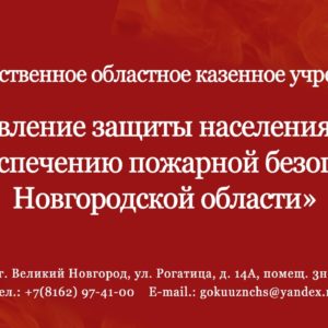 Благотворительная помощь  на организацию и проведение ГОКУ «Управление ЗНЧС и ПБ Новгородской области» выставочного мероприятия.